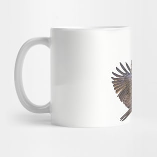 Osprey_03 Mug